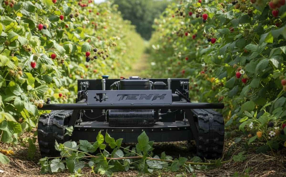 Robot Kosilica Tenk T-110 U Malinjaku